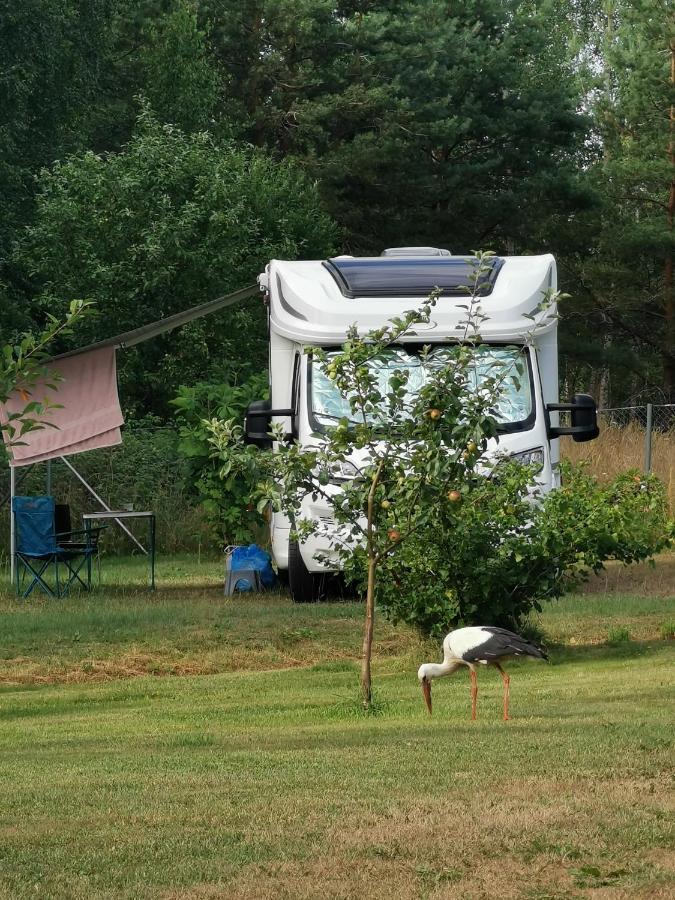 Peipsi Caravani Puhkemaja Nina エクステリア 写真